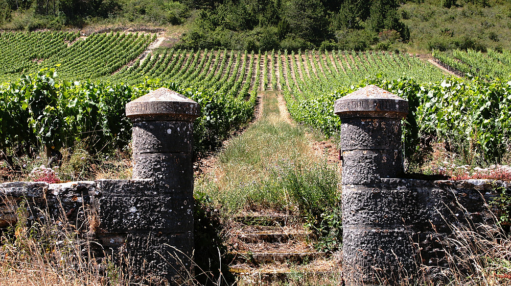 Burgund (Frankreich)