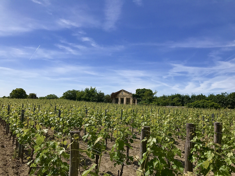 Saint-Emilion