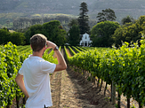 lebenshaltungskosten-suedafrika-wein