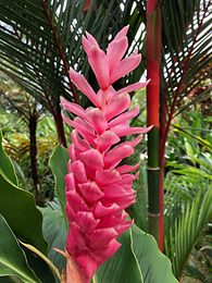Costa Rica rezidency