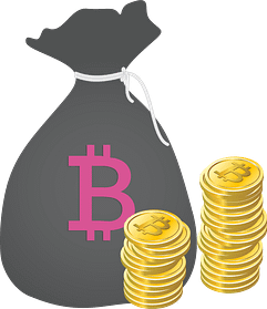 bag-of-coin-2400px-1-768x887
