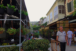 DSC08299-300x200