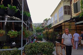 DSC08299-300x200