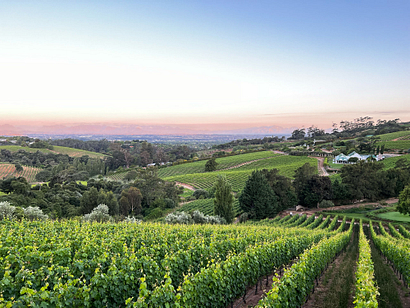 suedafrika-auswandern
