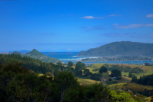 neuseeland steuern
