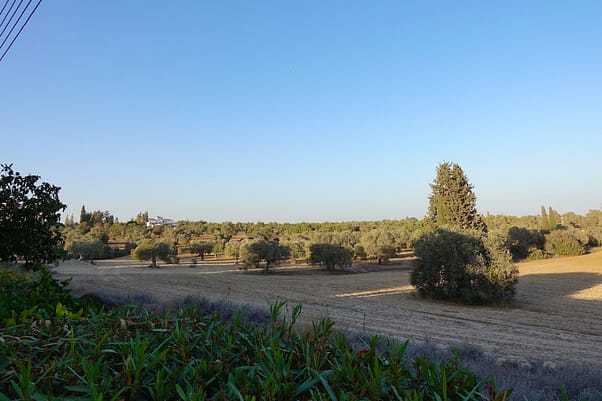 DSC04577-1024x682