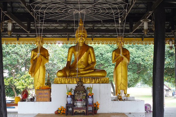 DSC05801-1024x683