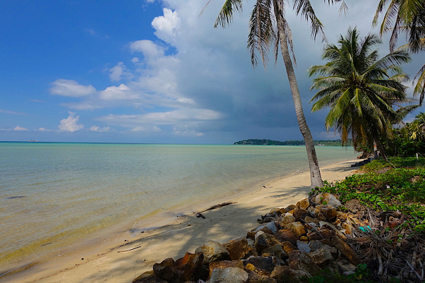 DSC05867-1024x683