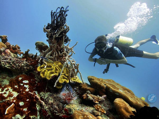 kudat-tip-of-borneo-diving-1024x768