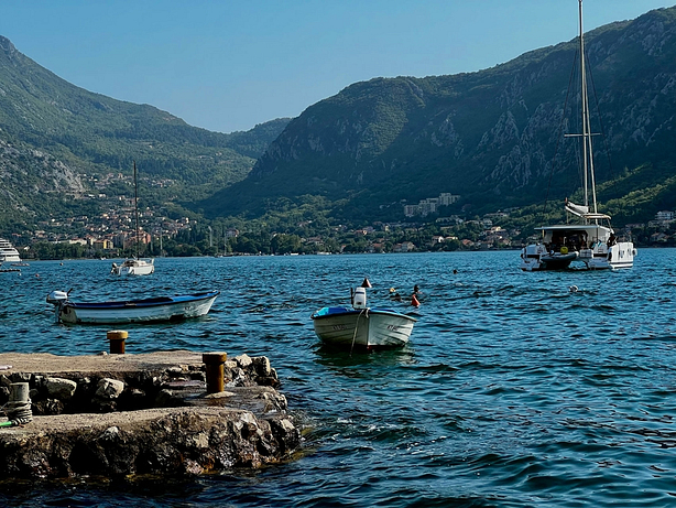 montenegro-firmengruendung