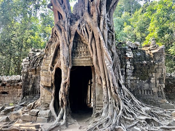 wegzugsbesteuerung-in-deutschland-wird-verschaerft-1024x768