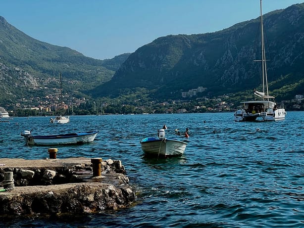 montenegro-firmengruendung